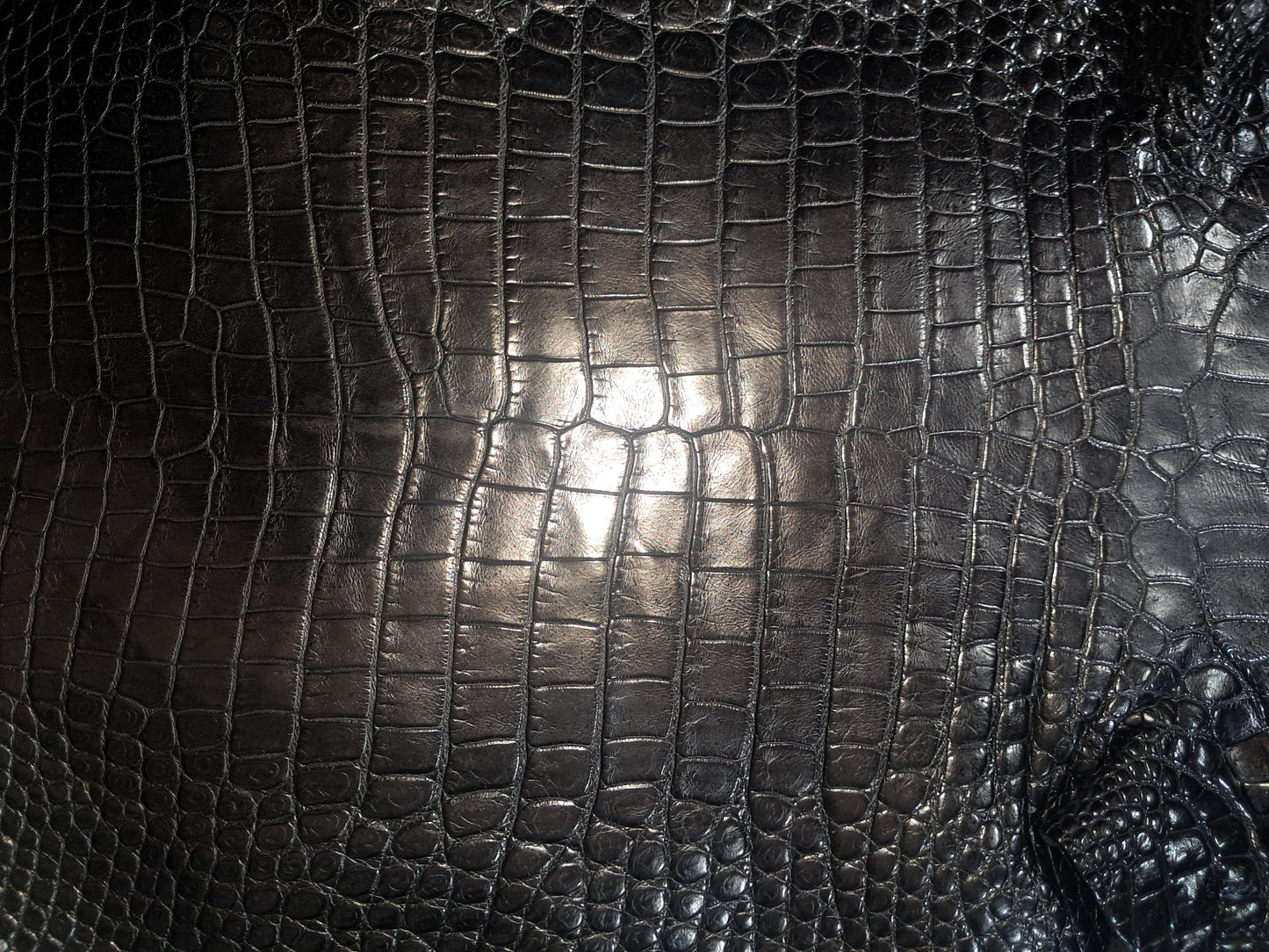 Black Australian Crocodile Belly