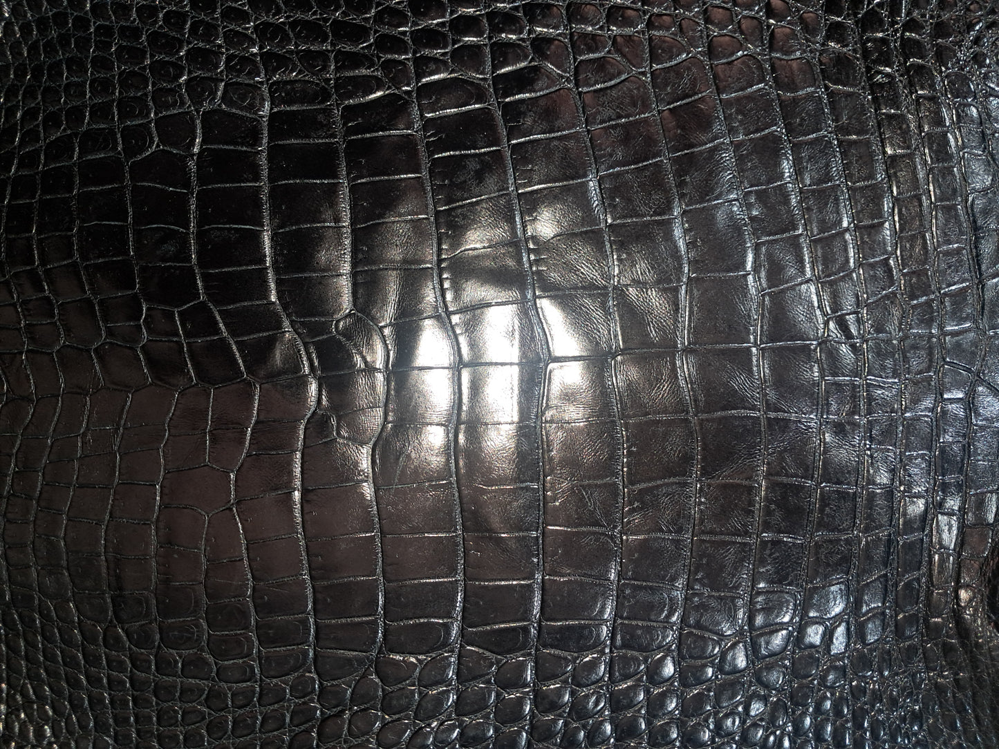 Black Australian Crocodile Belly