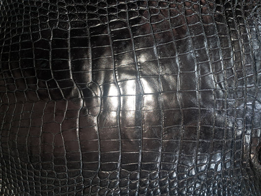 Black Australian Crocodile Belly