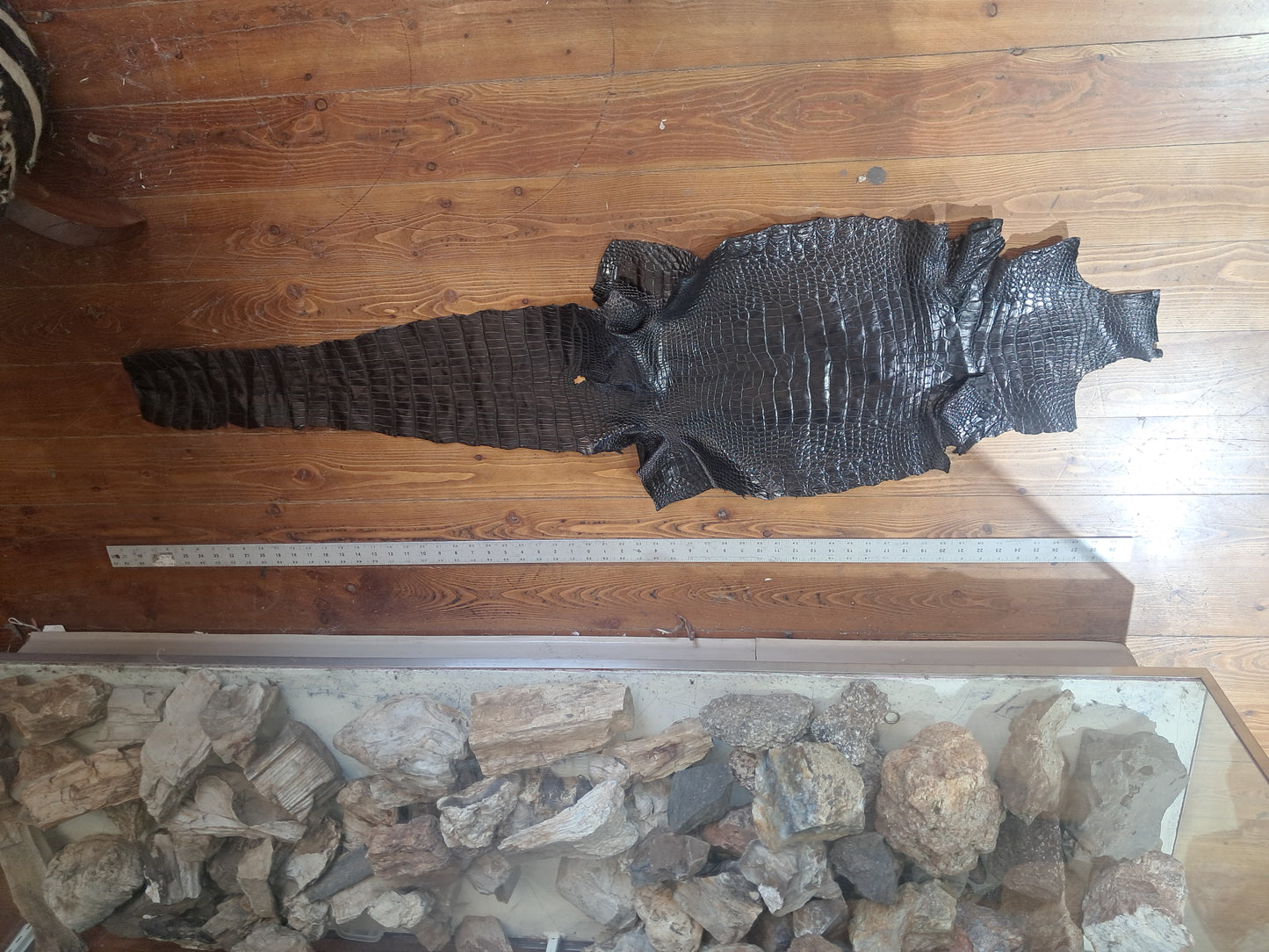 Black Australian Crocodile Belly