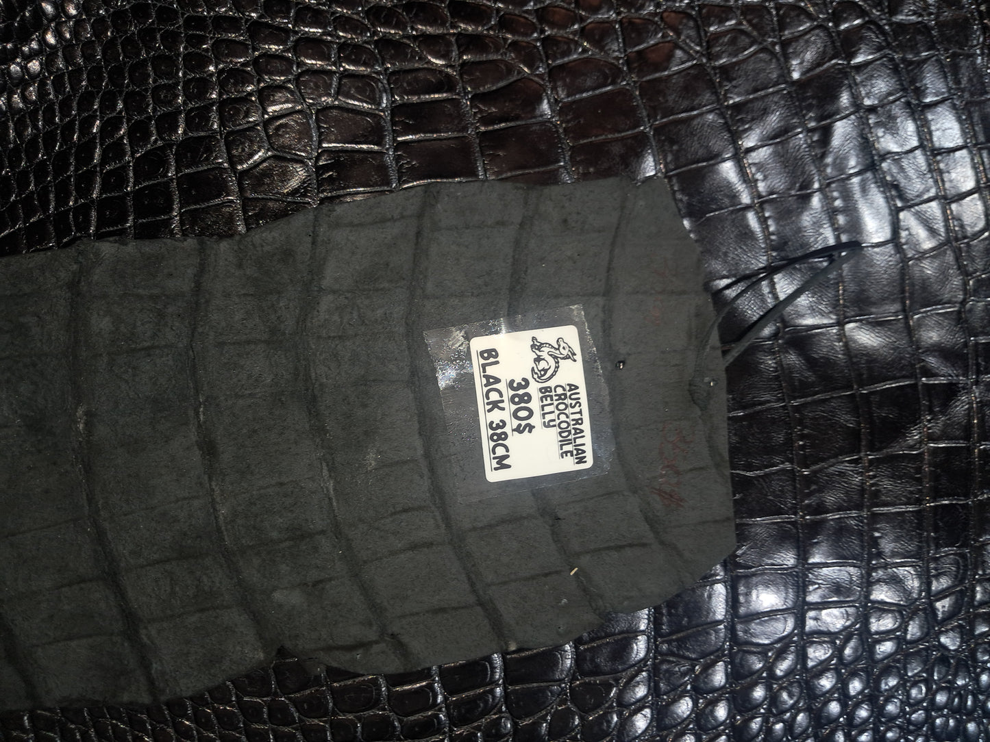 Black Australian Crocodile Belly