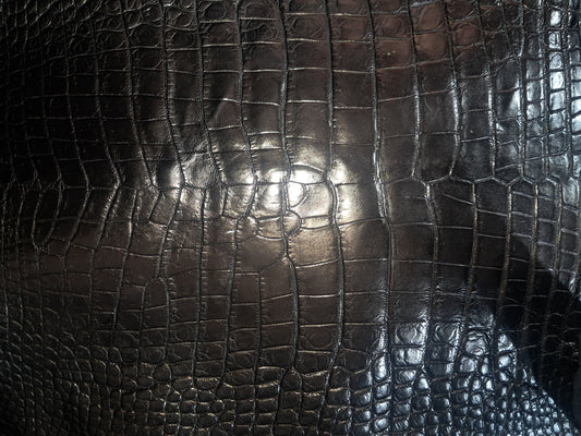 Black Australian Crocodile Belly