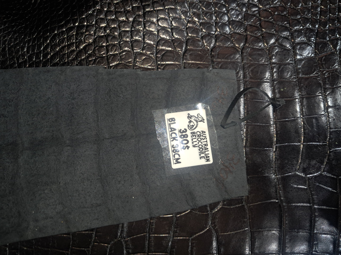 Black Australian Crocodile Belly