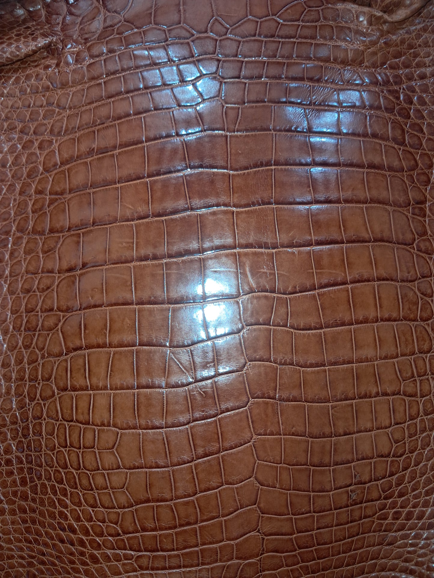 Cognac Australian Crocodile Belly