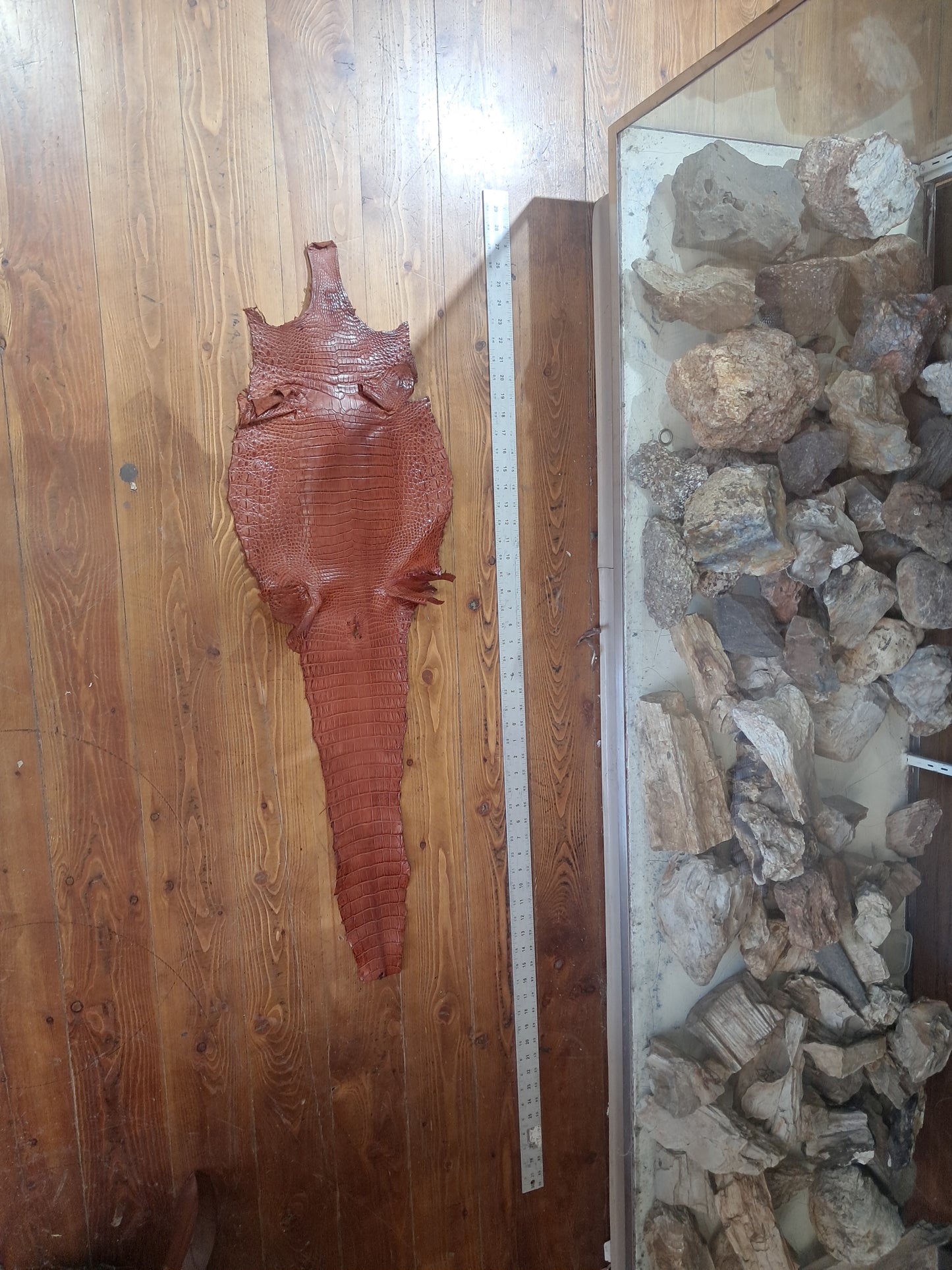 Cognac Australian Crocodile Belly