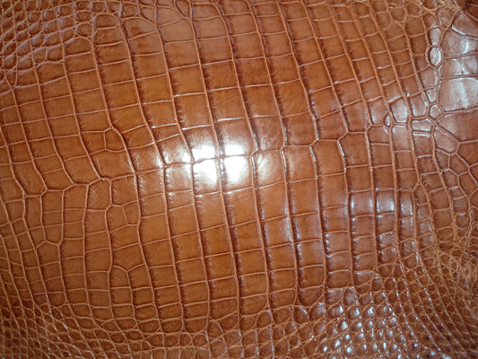 Cognac Australian Crocodile Belly