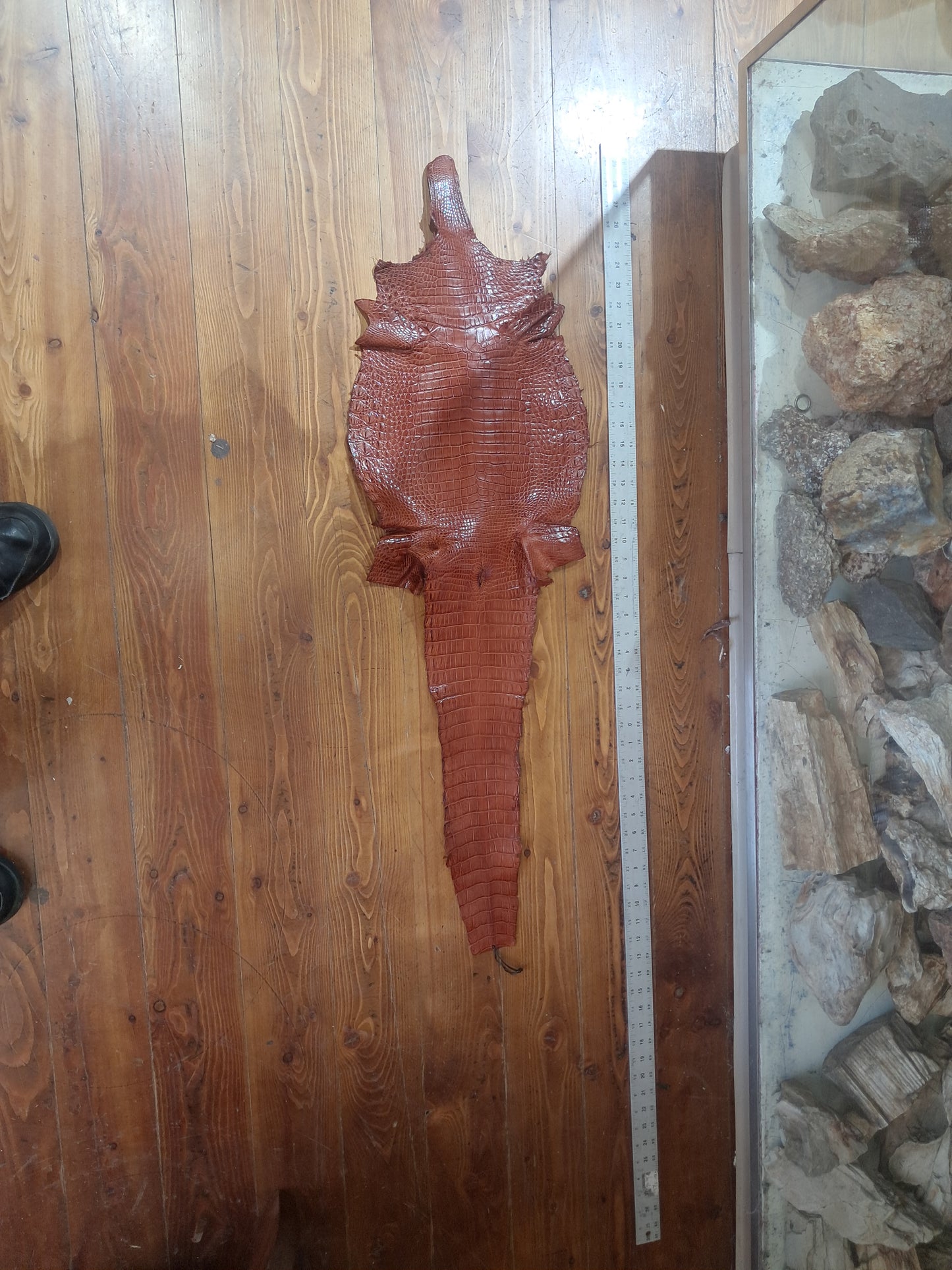 Cognac Australian Crocodile Belly