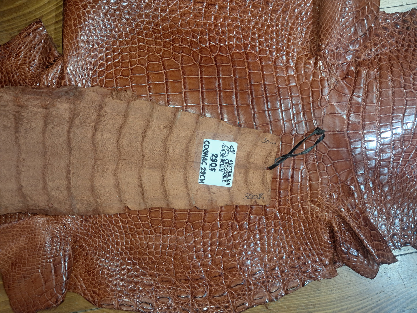 Cognac Australian Crocodile Belly