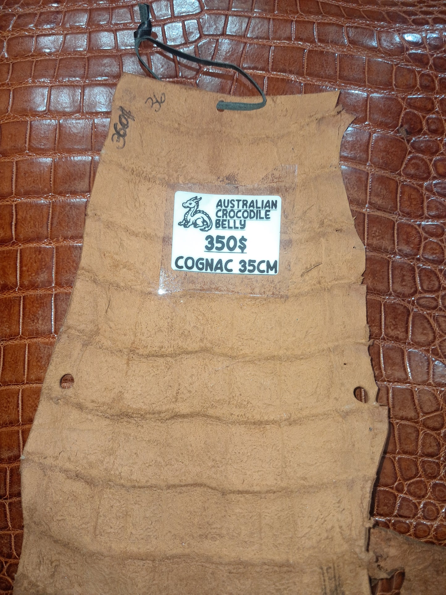 Cognac Australian Crocodile Belly