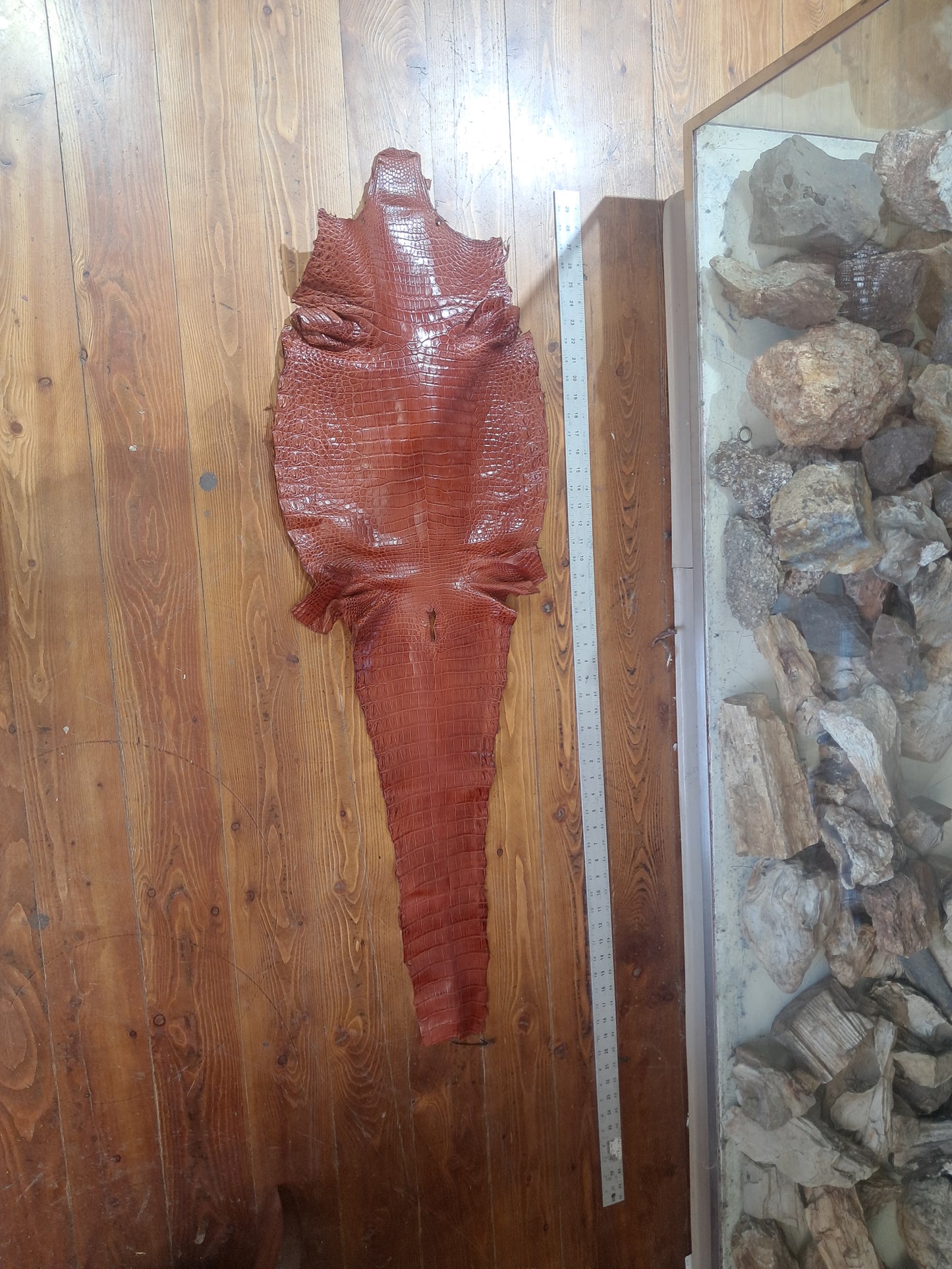 Cognac Australian Crocodile Belly