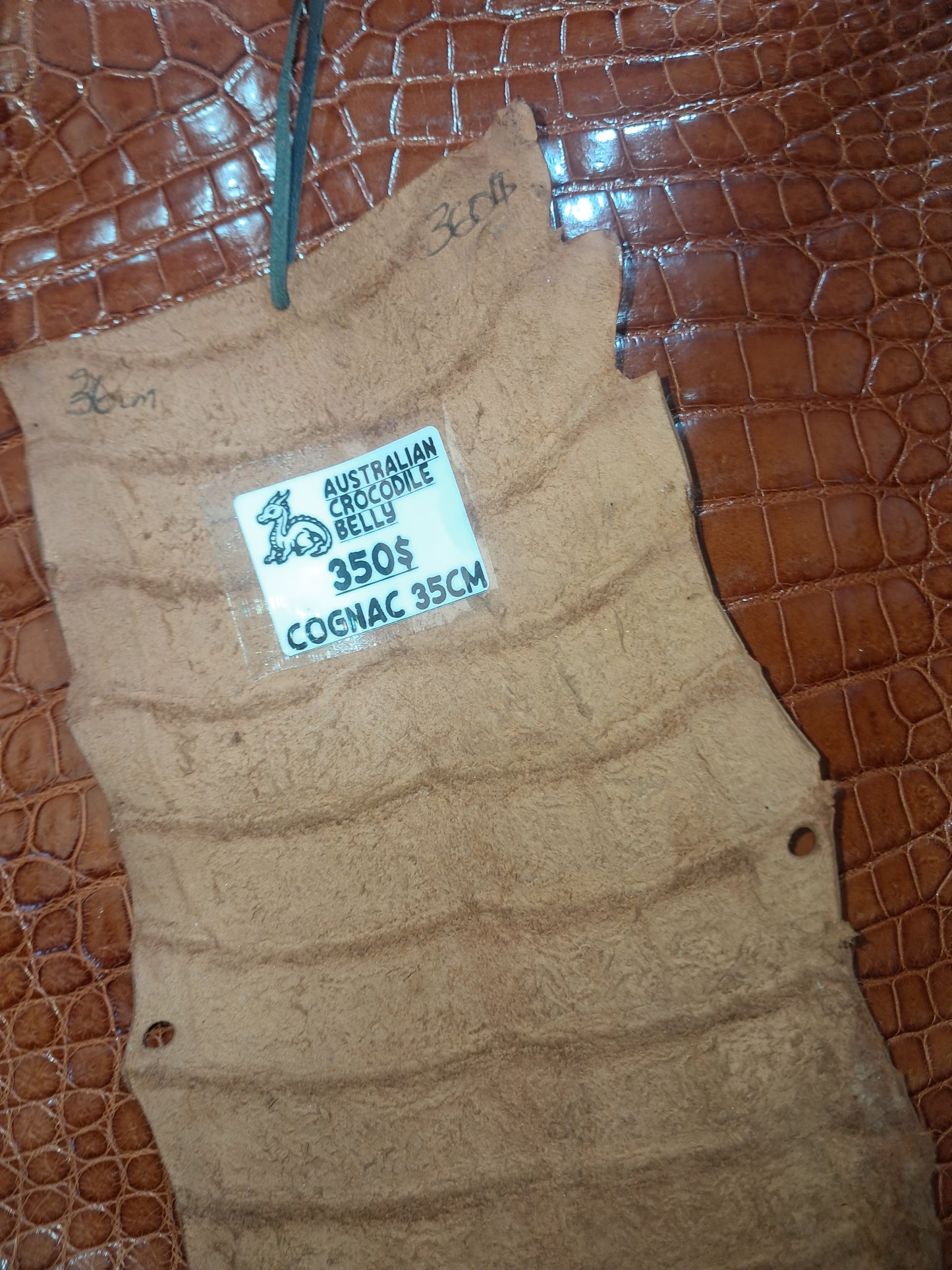 Cognac Australian Crocodile Belly