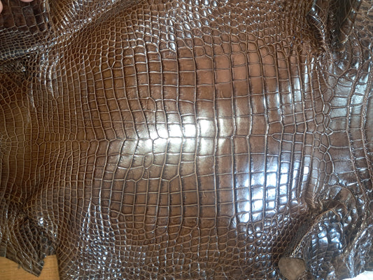 Dark Brown Australian Crocodile Belly