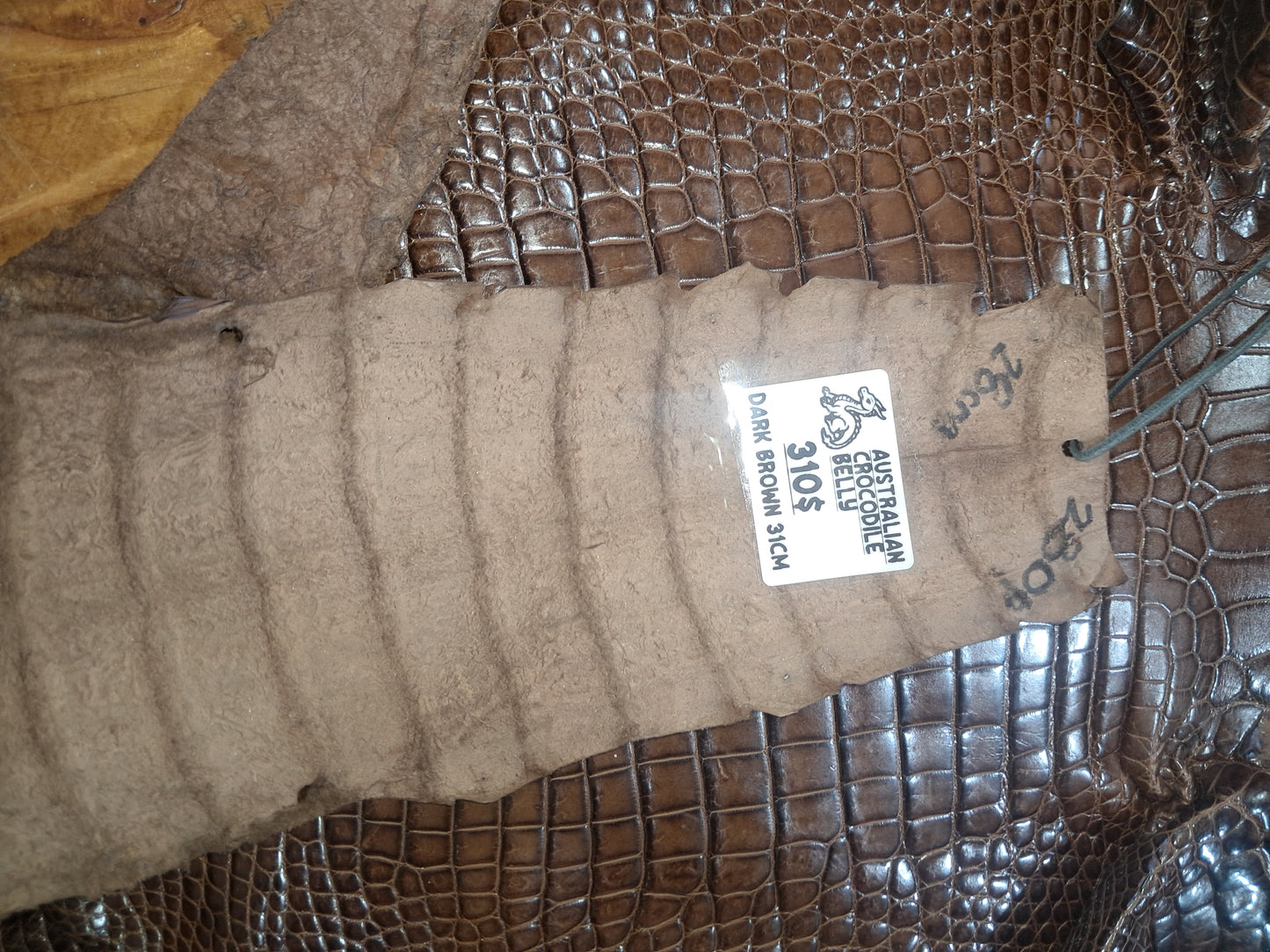 Dark Brown Australian Crocodile Belly