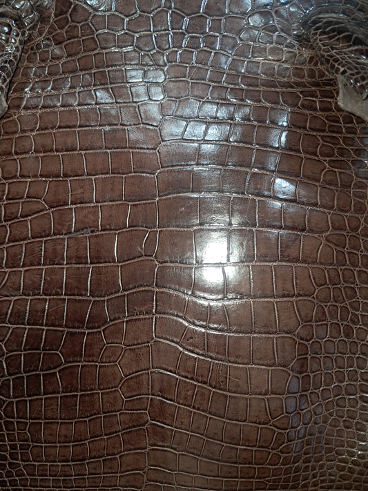 Dark Brown Australian Crocodile Belly