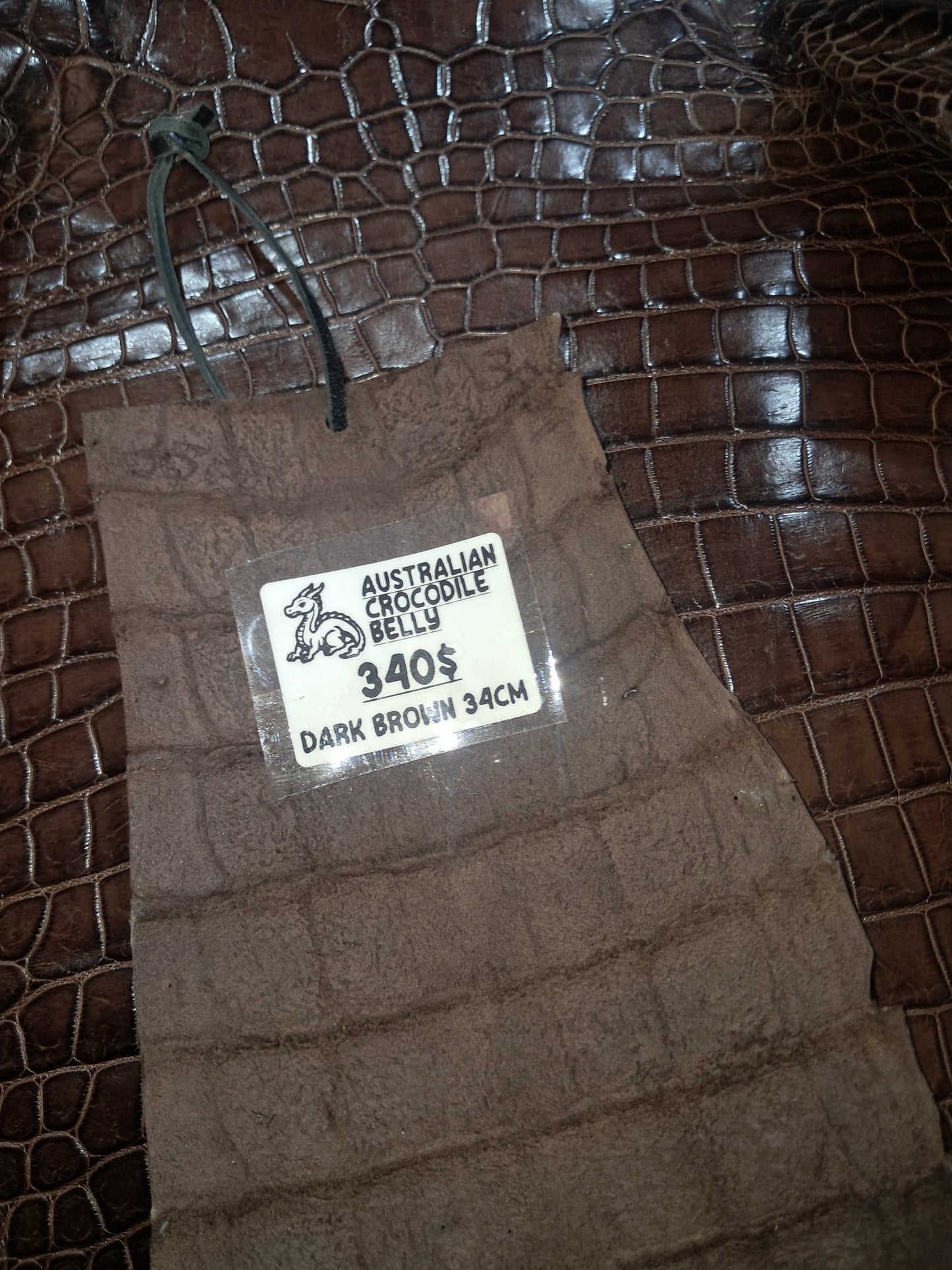 Dark Brown Australian Crocodile Belly