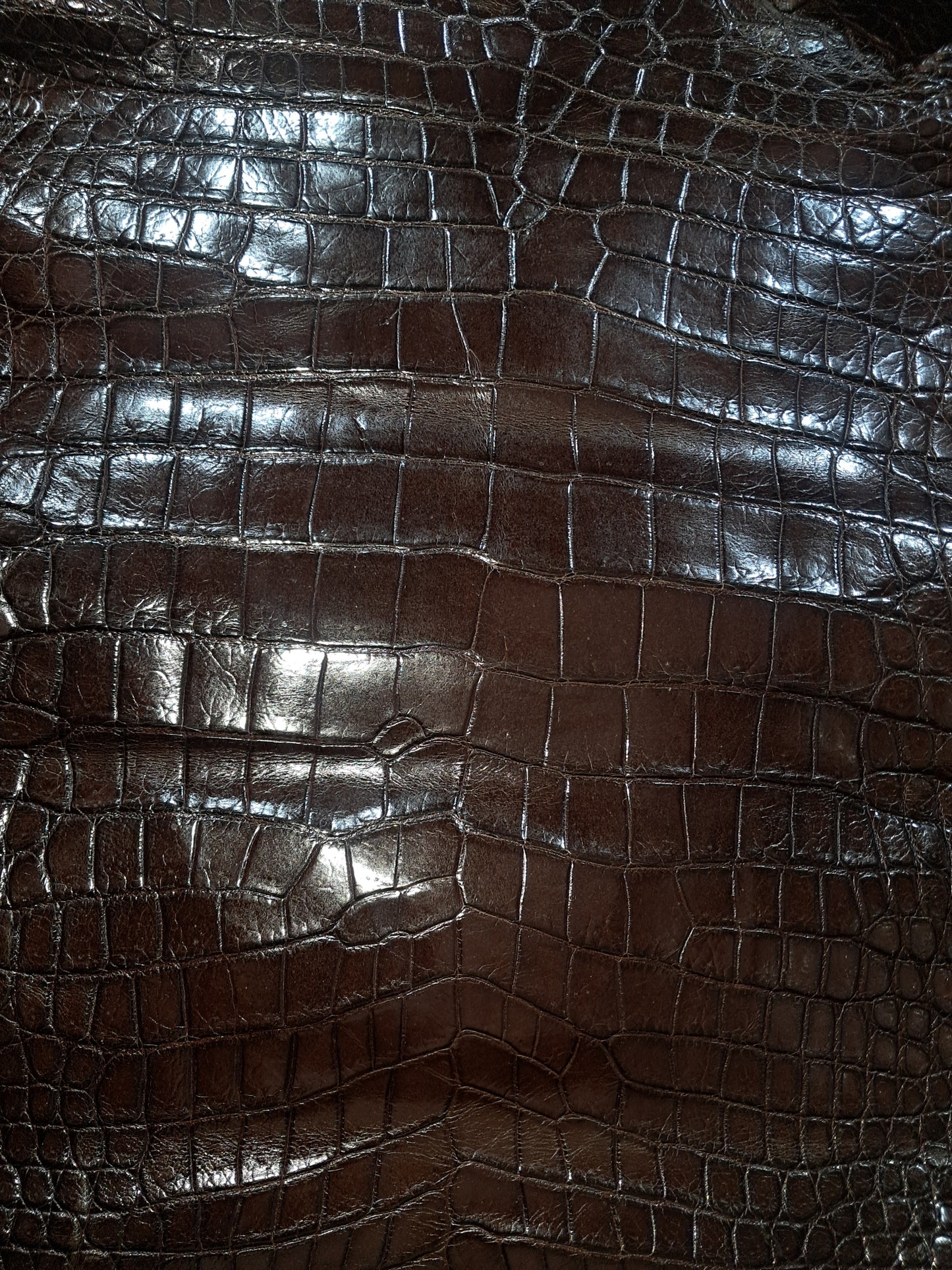 Dark Nicotine Australian Crocodile Belly