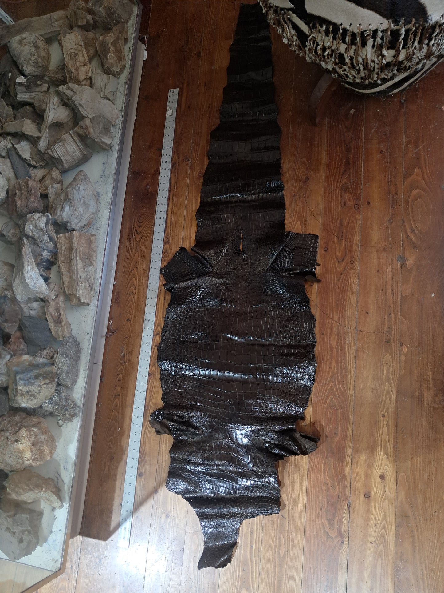 Dark Nicotine Australian Crocodile Belly