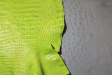 Lime Green On White CROCO Belly