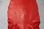 Red Alligator Belly